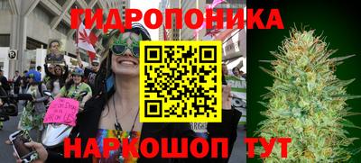 мяу мяу мука Гатчина