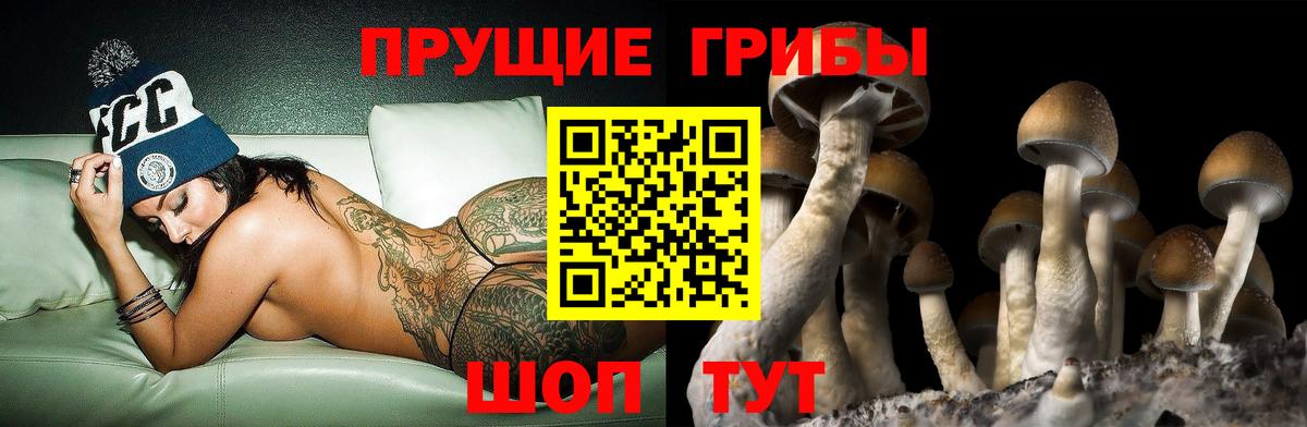 цены наркотик  Галлюциногенные грибы Psilocybe  Вход с VPN  Нефтеюганск  Псилоцибиновые грибы Psilocybe 